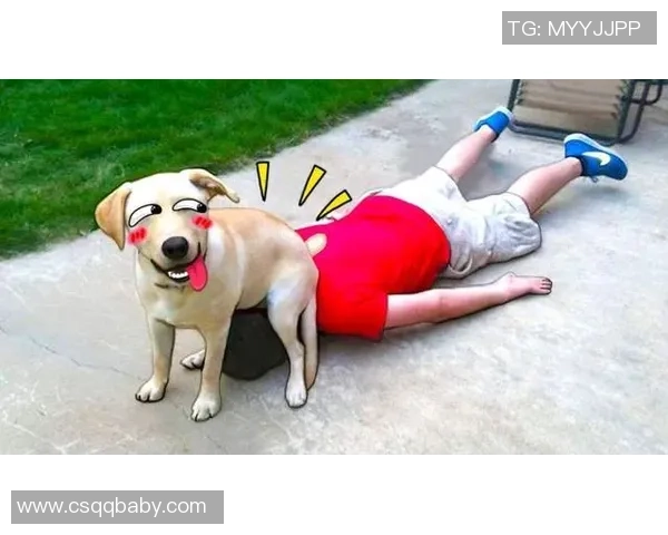 足球巨星们的宠物们究竟是谁揭秘他们生活中的小伙伴和忠实陪伴